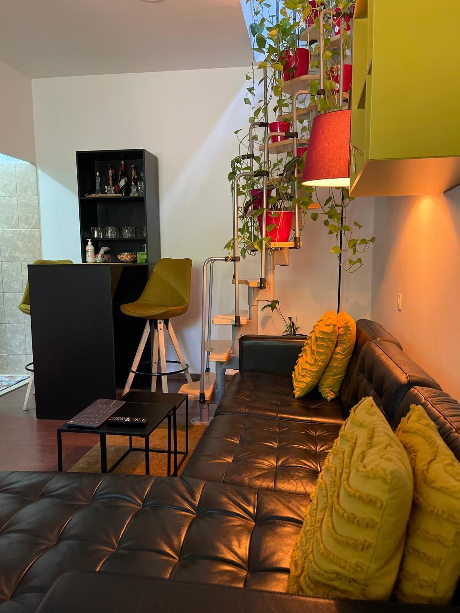 City Garden Apartments Bucureşti Ngoại thất bức ảnh