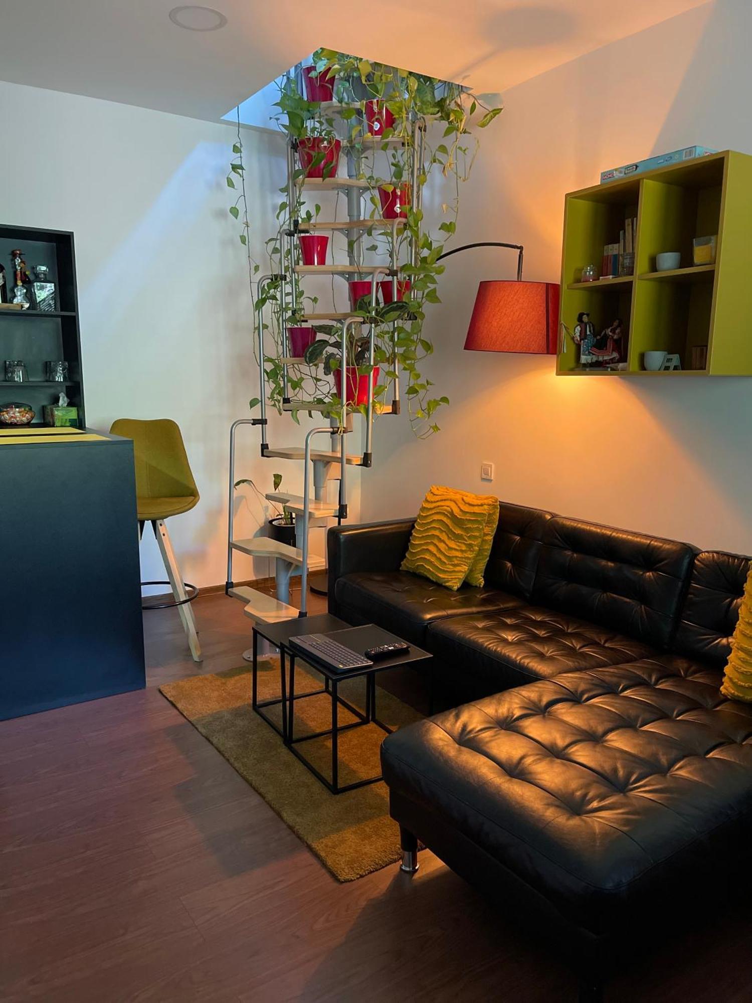 City Garden Apartments Bucureşti Ngoại thất bức ảnh