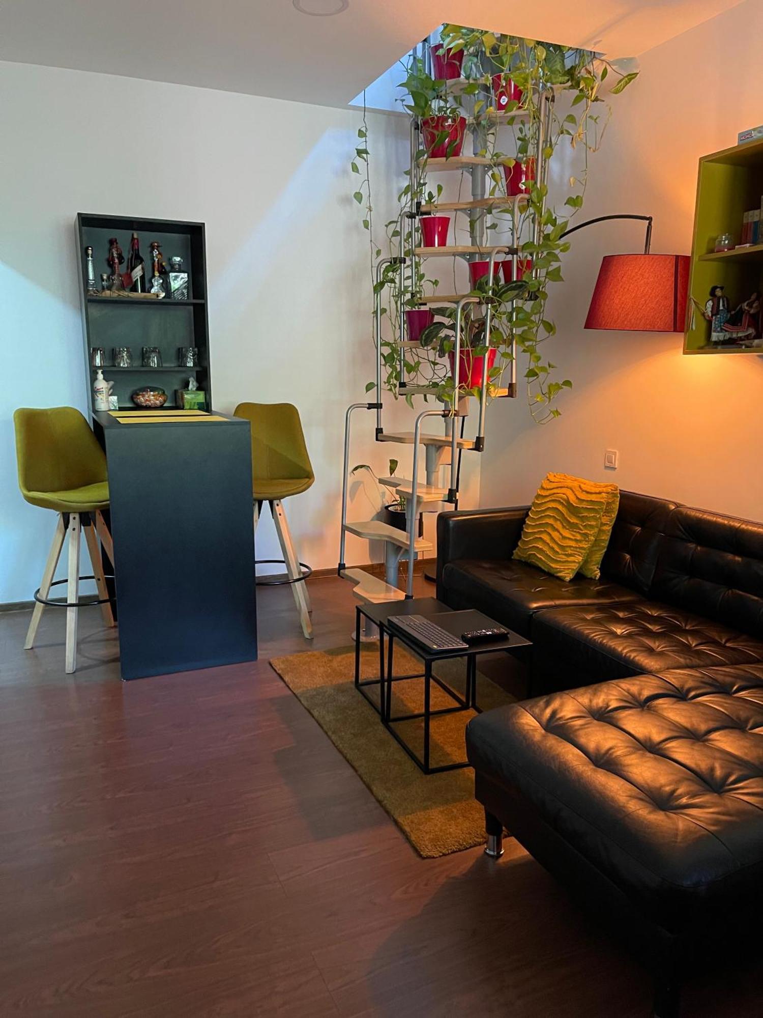 City Garden Apartments Bucureşti Ngoại thất bức ảnh